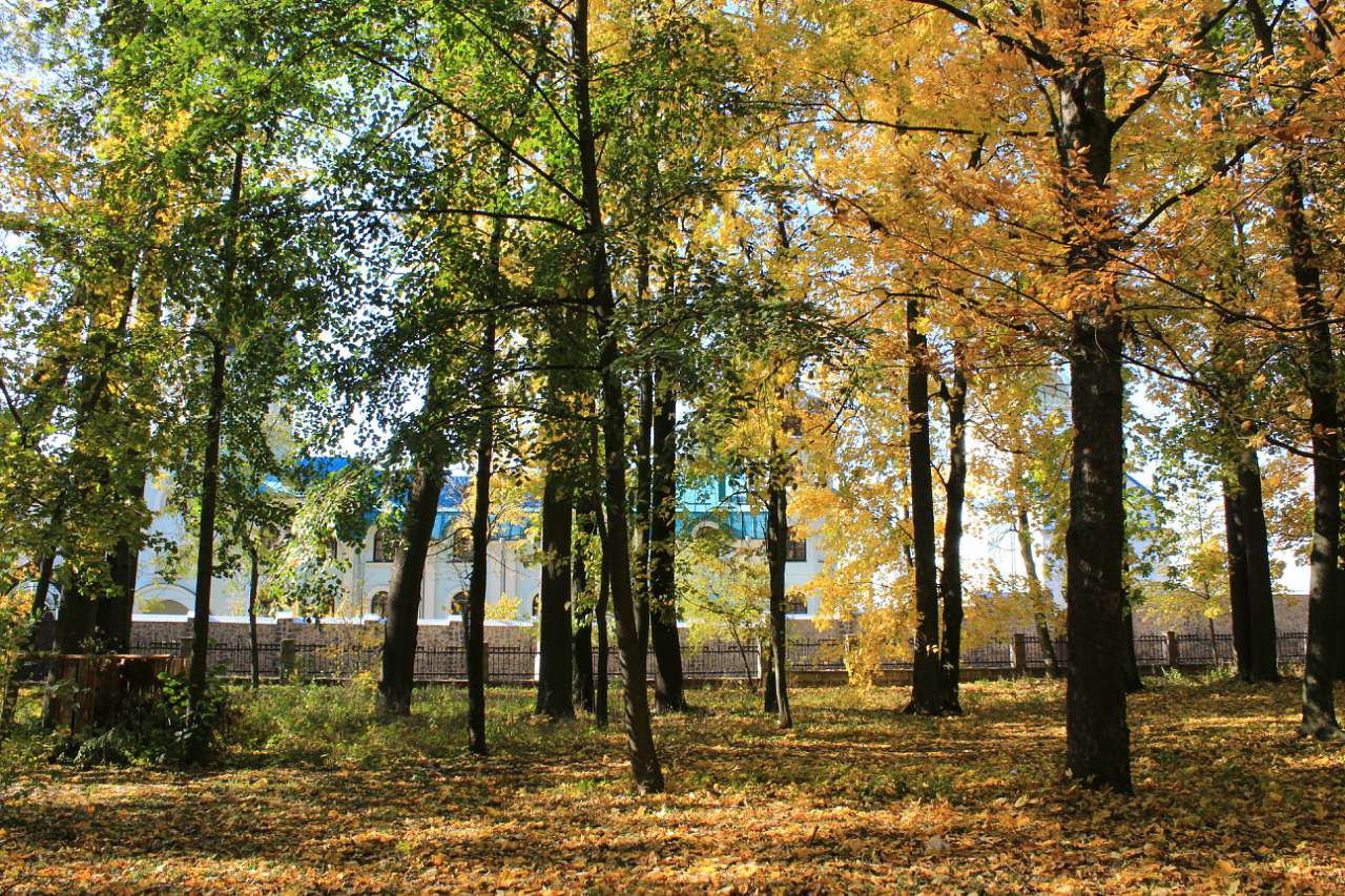 ГОЩА. ОСІННІЙ ПАРК 2017 - Гоща