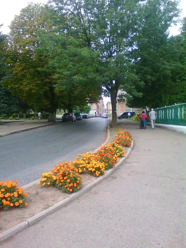 Вулицями міста - Самбір