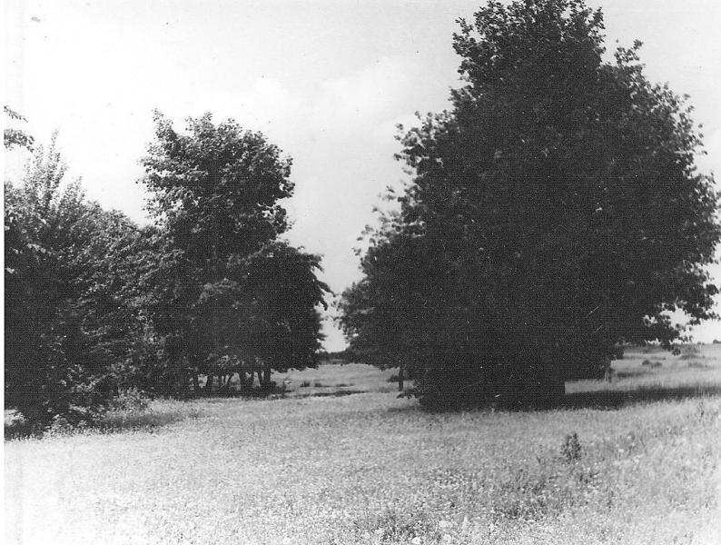 Мальовниче село - Велика Діброва