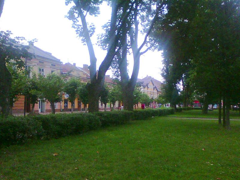 Вулицями міста - Самбір
