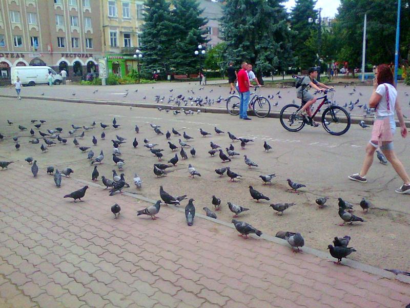 Вулицями міста - Самбір