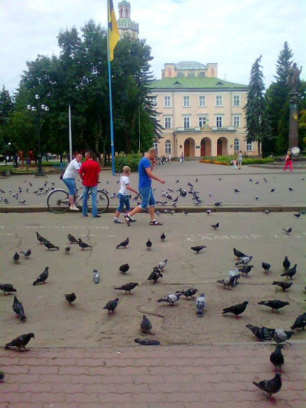 Вулицями міста - Самбір