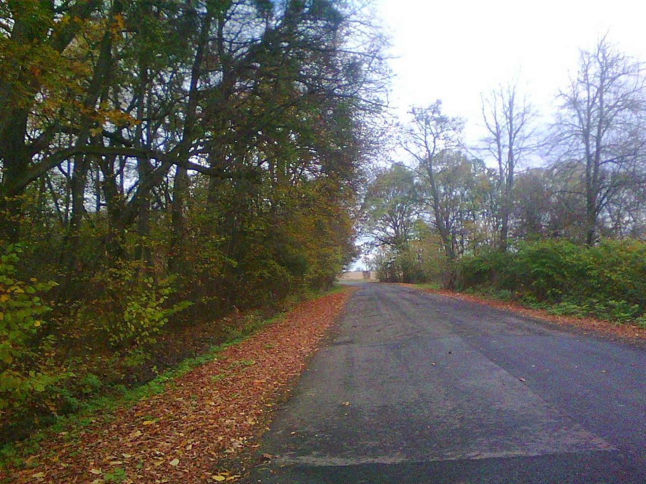 Краєвид - Бережниця