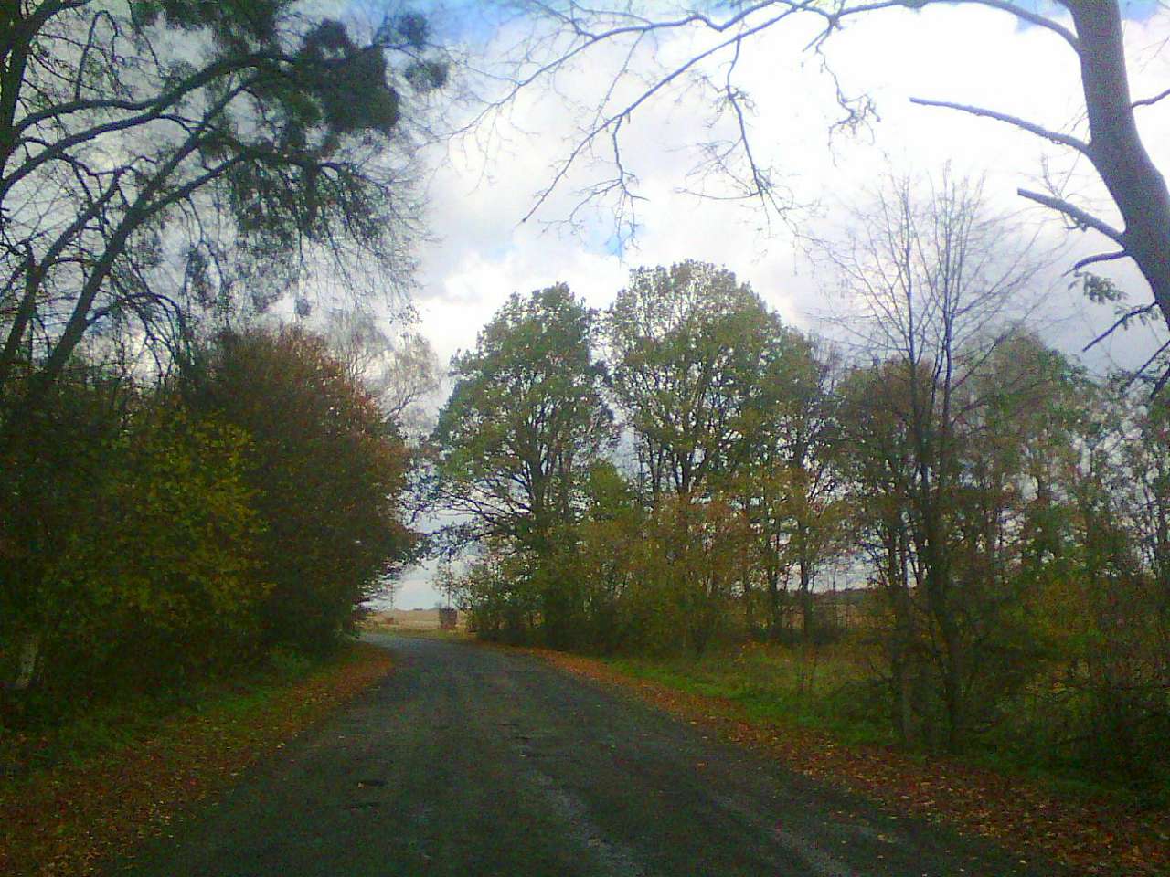 Краєвид - Бережниця