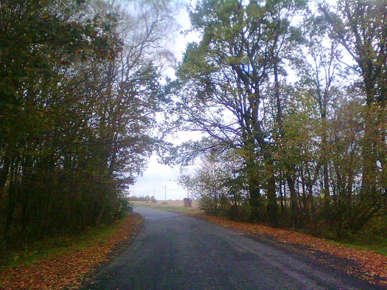 Краєвид - Бережниця