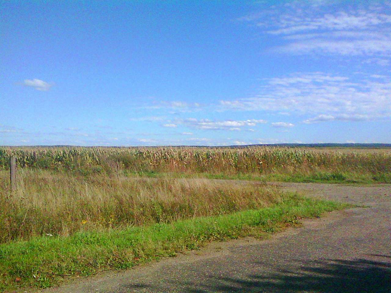 краєвид - Zhulyn