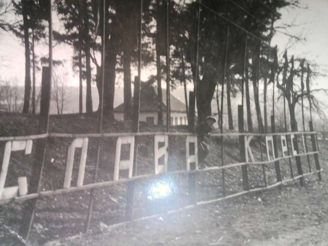 РЕТРО - Папужинцы