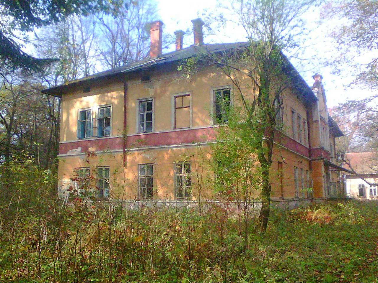 Руїни психоневрологічної лікарні - Бережниця