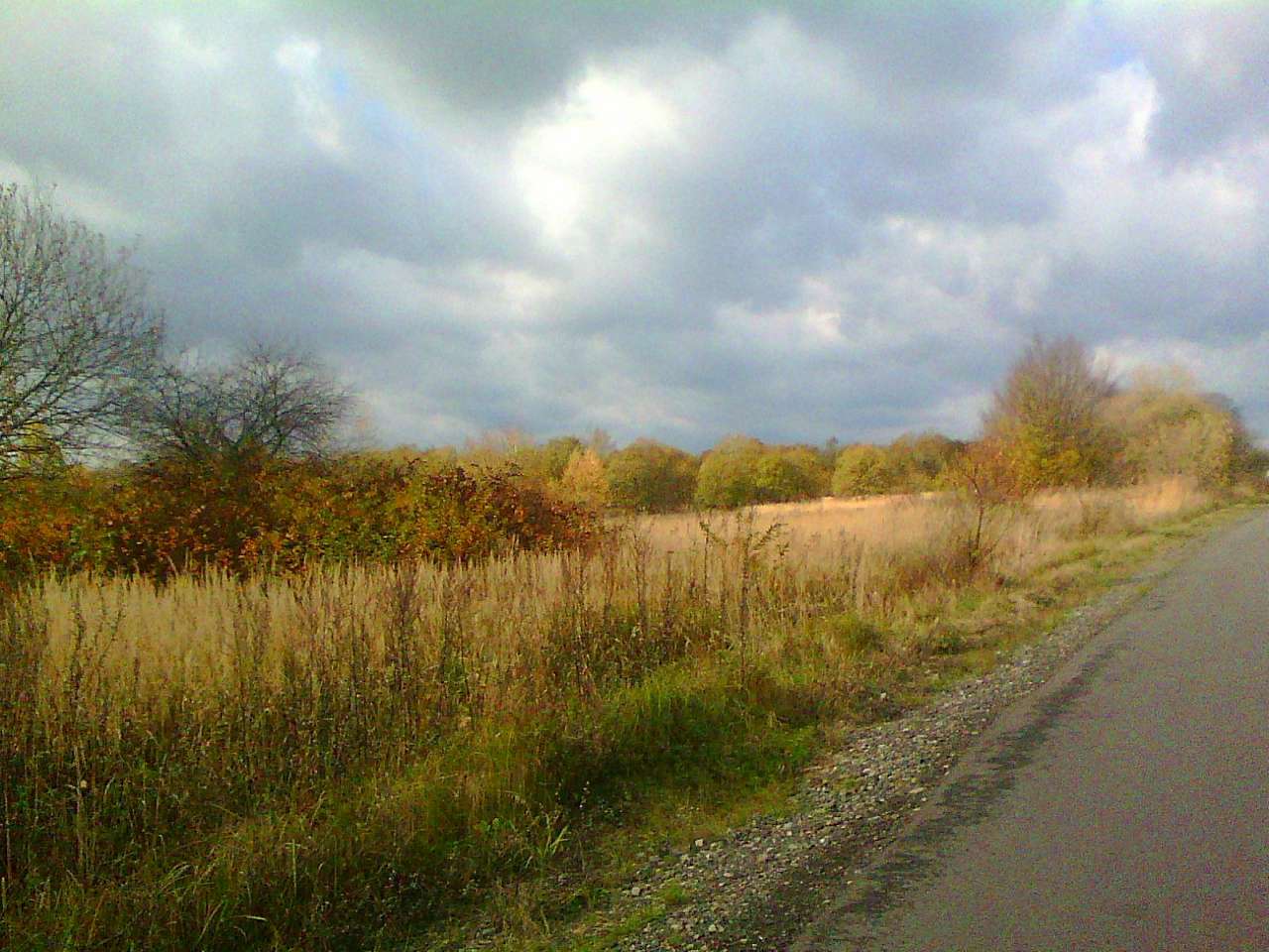 краєвид - Strilkiv