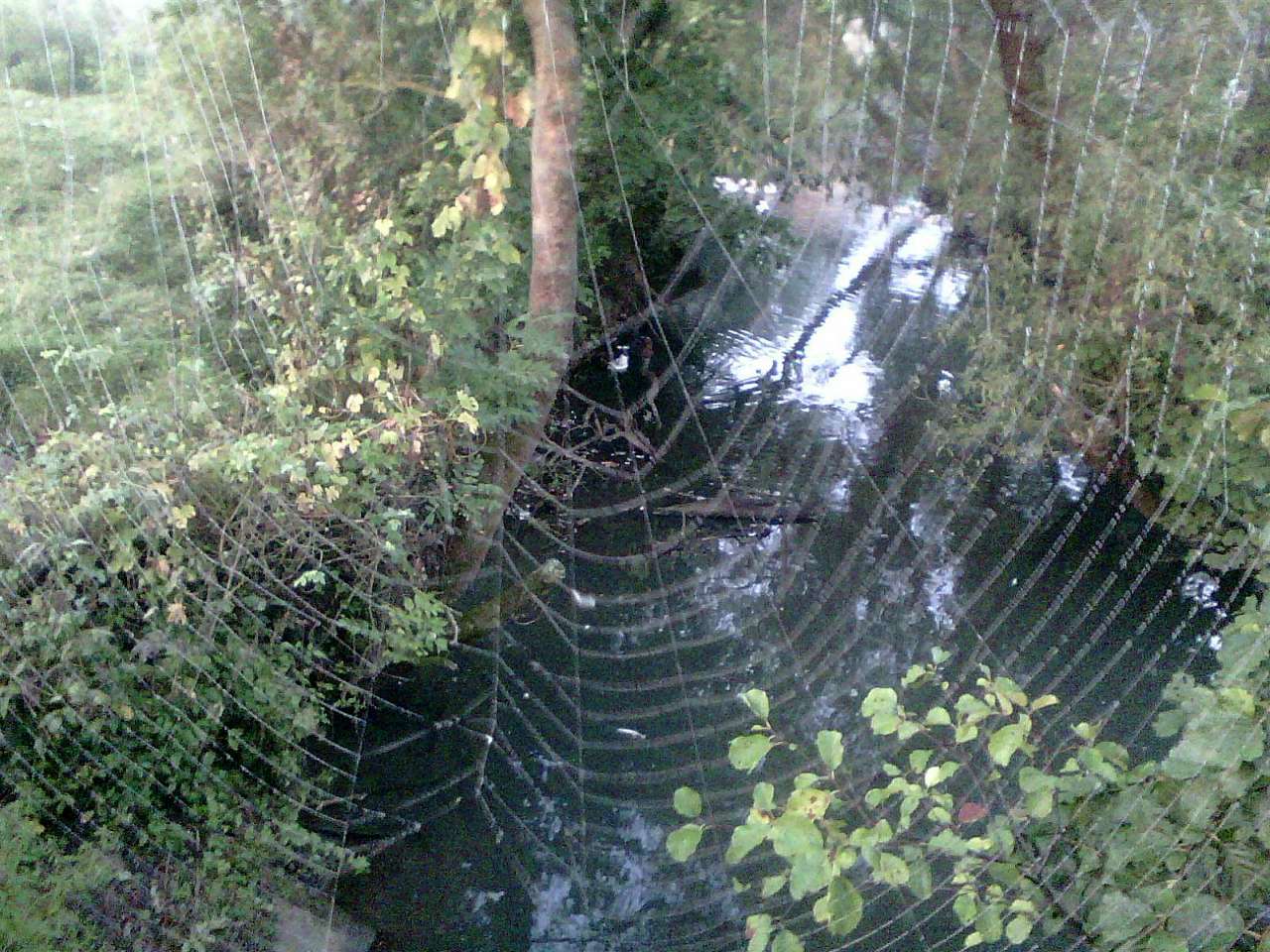 річка Вівнянка - Держів