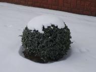 НТЦ ВІННИЦЯЕЛЕКТРОТЕХНОЛОГІЯ