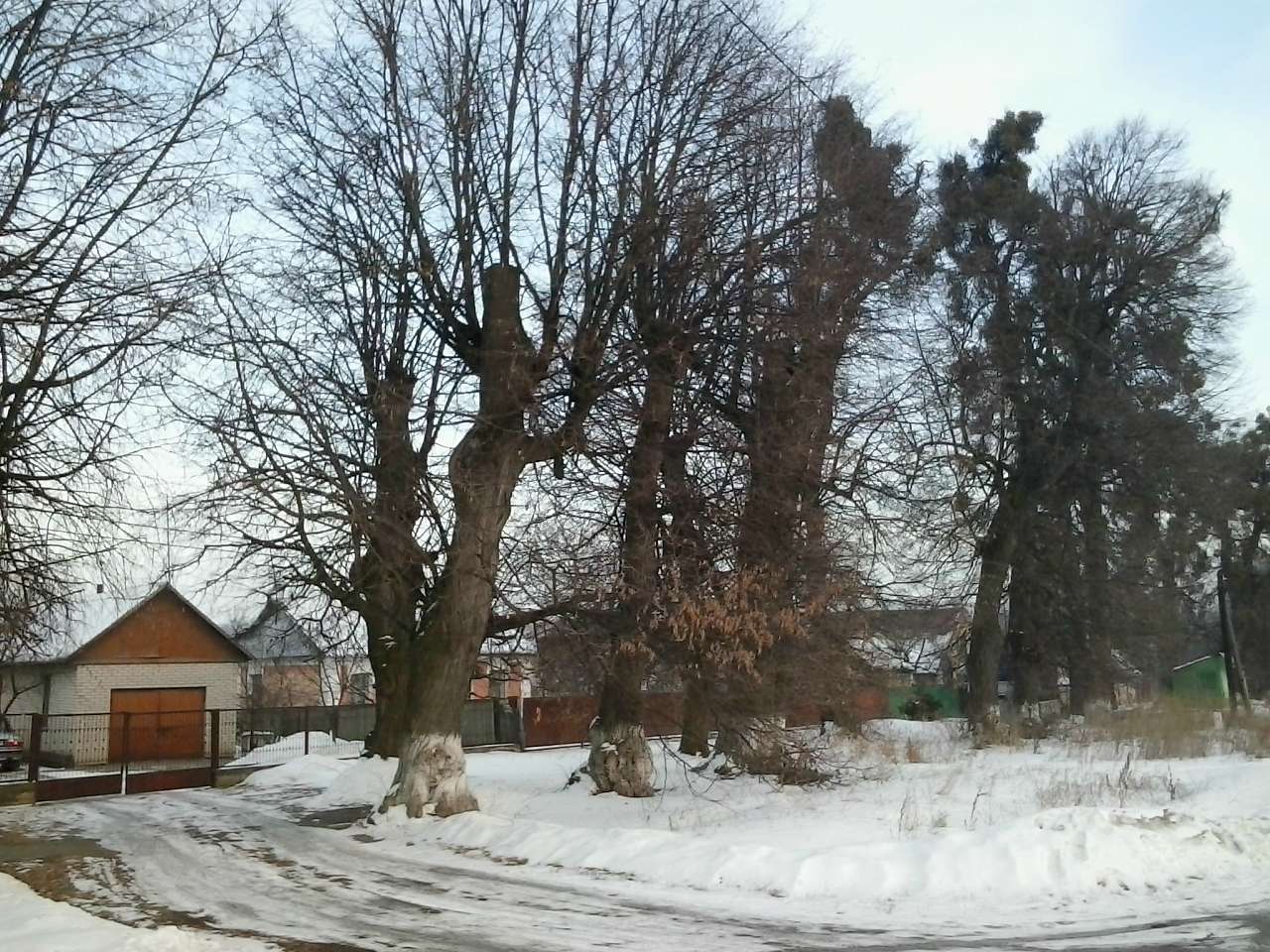 СЕЛО НА ХМЕЛЬНИЦЬКОМУ ТРАКТІ - Jakushyntsi