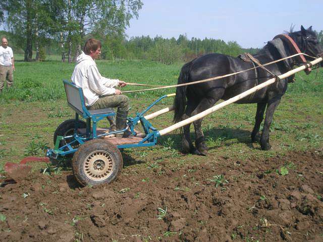 УКРАИНА В ГОВНЕ - Холмовець