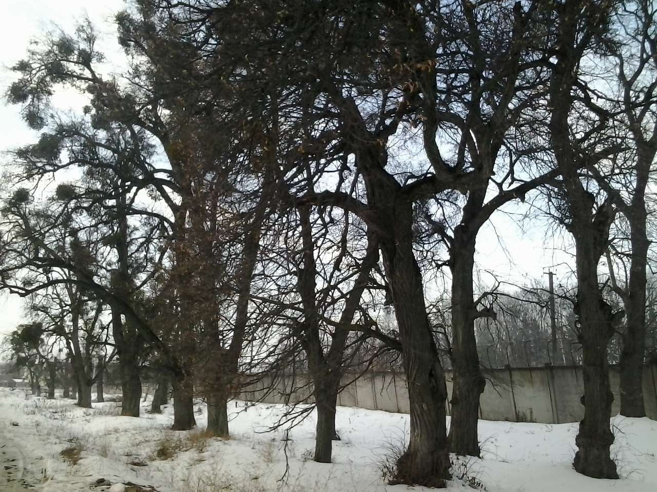 СЕЛО НА ХМЕЛЬНИЦЬКОМУ ТРАКТІ - Якушинці