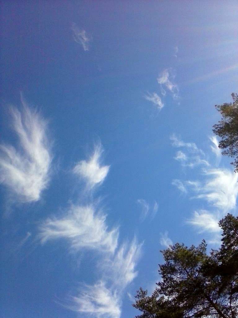 Природа - Клюсівка