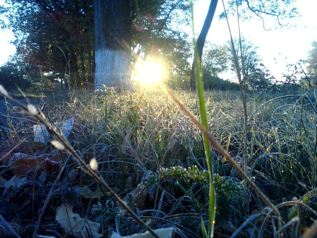 Природа - Клюсівка