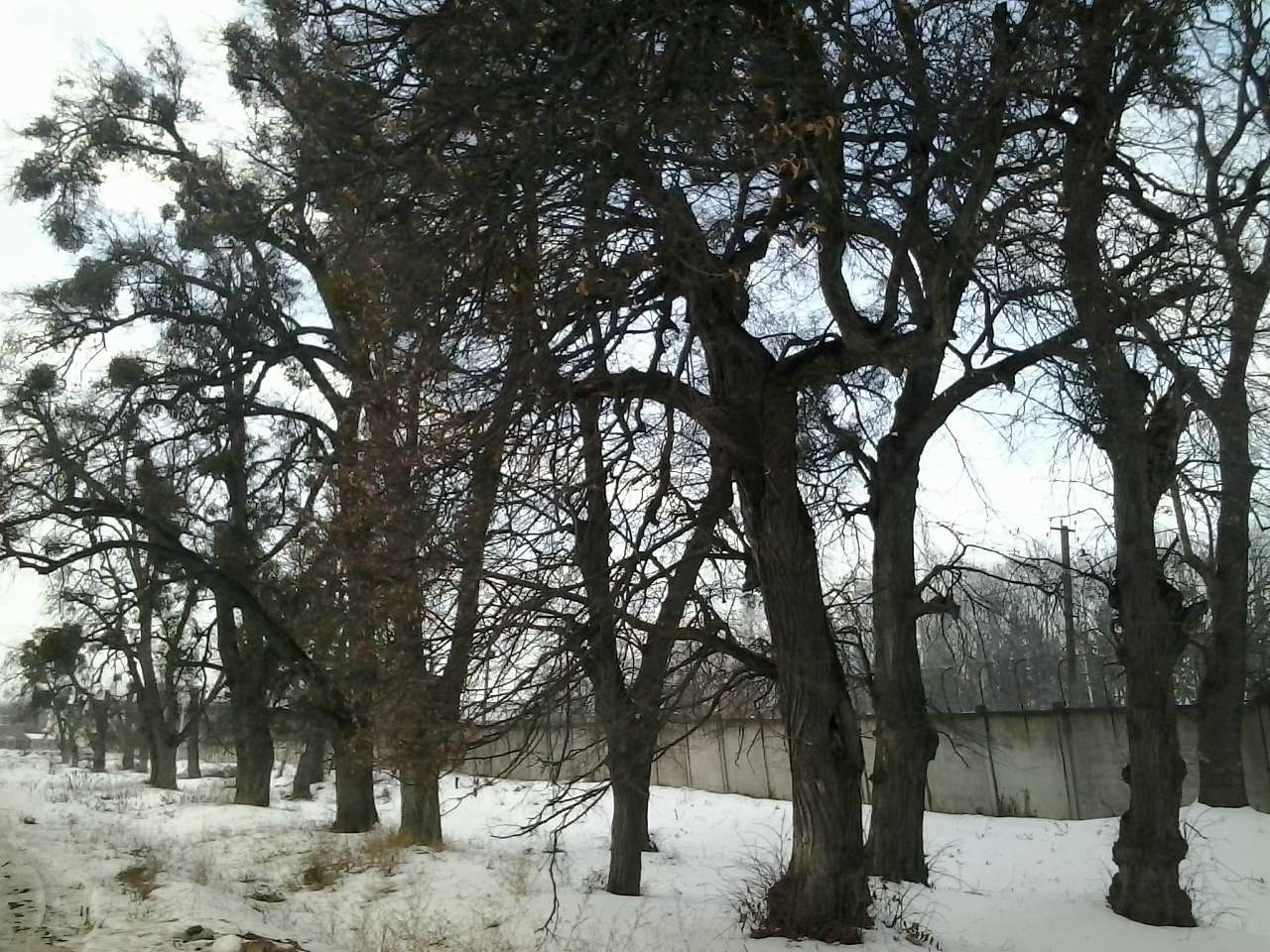 СЕЛО НА ХМЕЛЬНИЦЬКОМУ ТРАКТІ - Якушинці