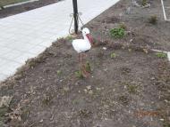 Юрківка - Останні фото