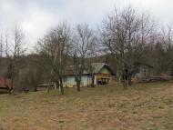 весняний Орів