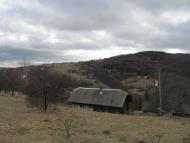 весняний Орів