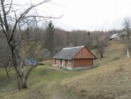 весняний Орів