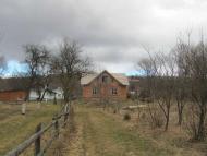 весняний Орів