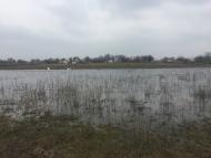 Новоочаков