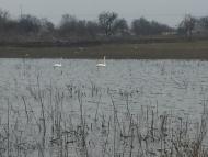 Новоочаков