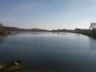 В'юнки - Останні фото