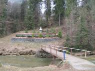 весняний Орів