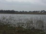 Новоочаков