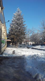 Степові стежки