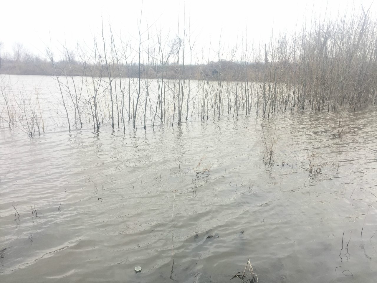 Новоочаков - Новоочаків