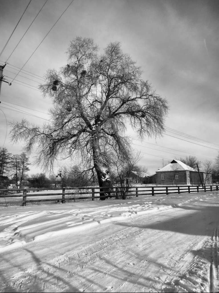 Мохначка 2 - Мохначка