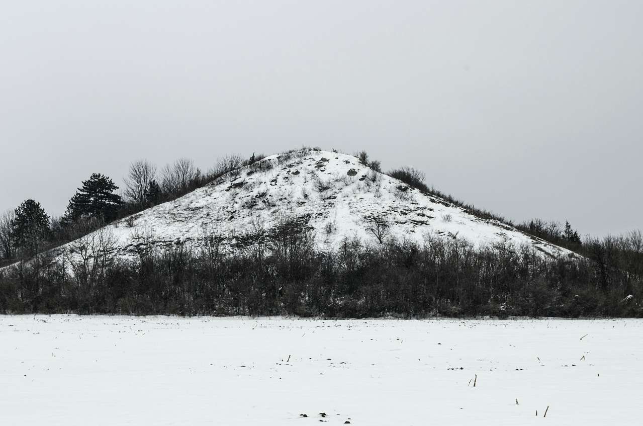 Медобори - Вікно