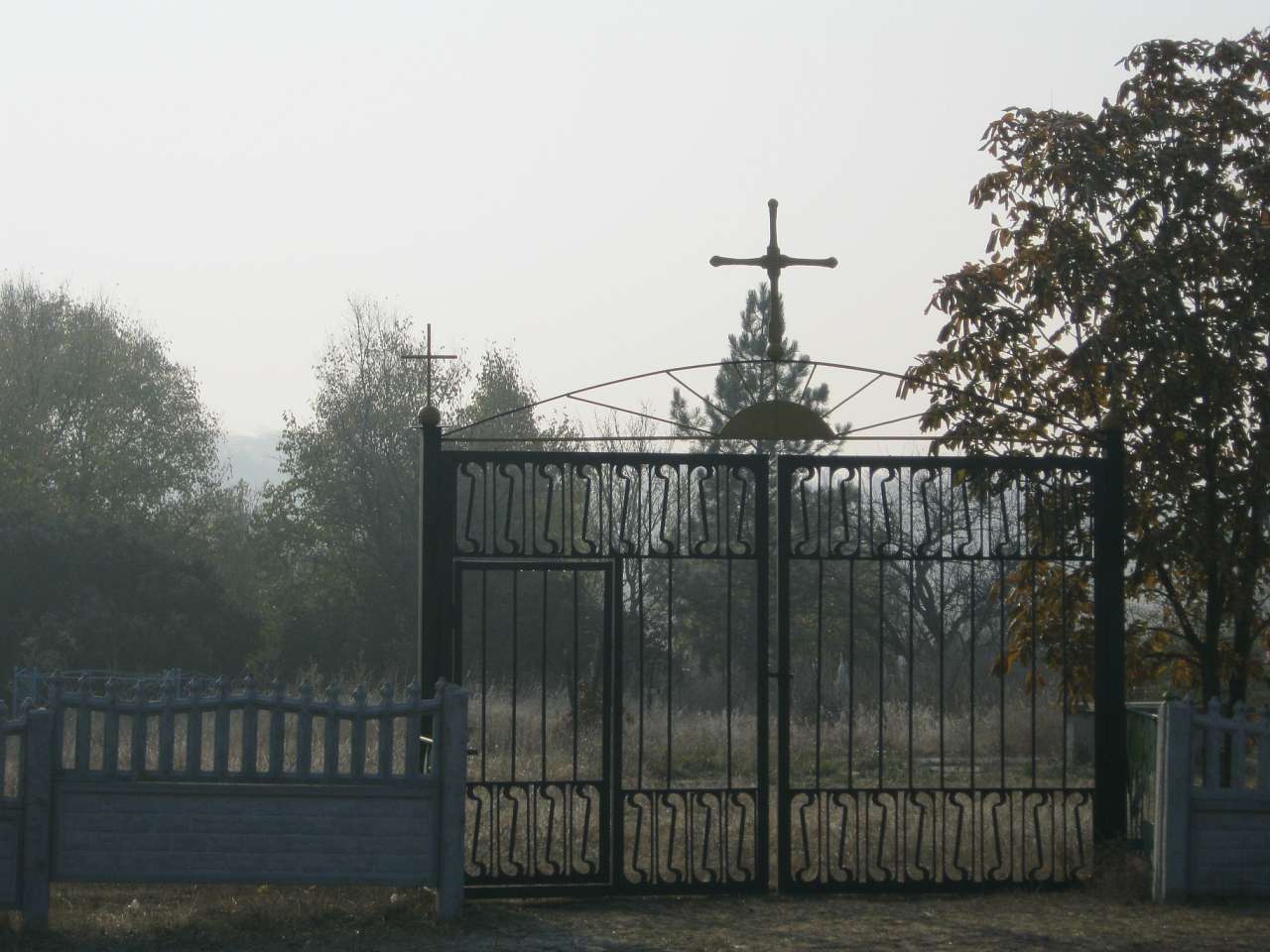 Історія - Новокурское