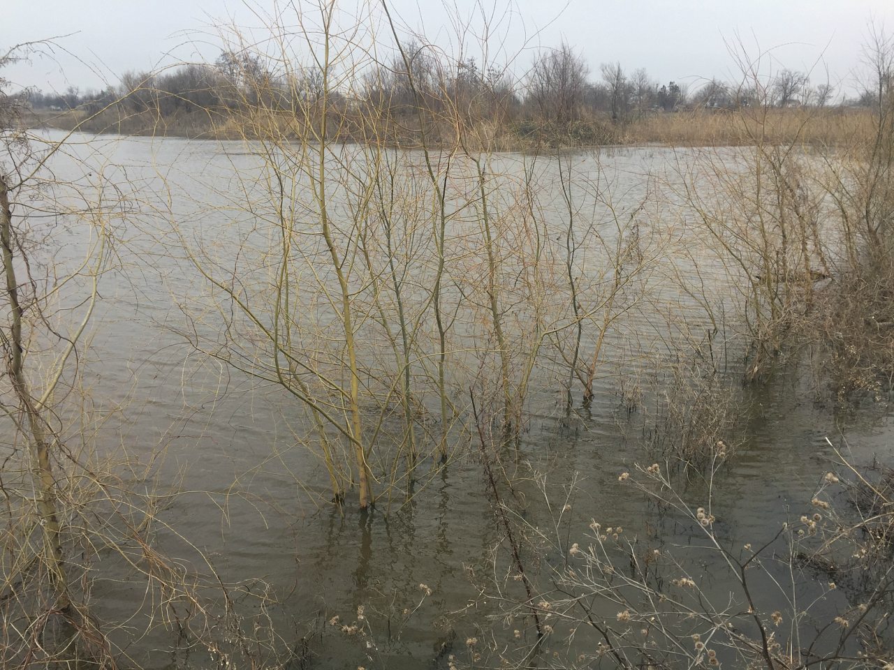 Новоочаков - Новоочаків