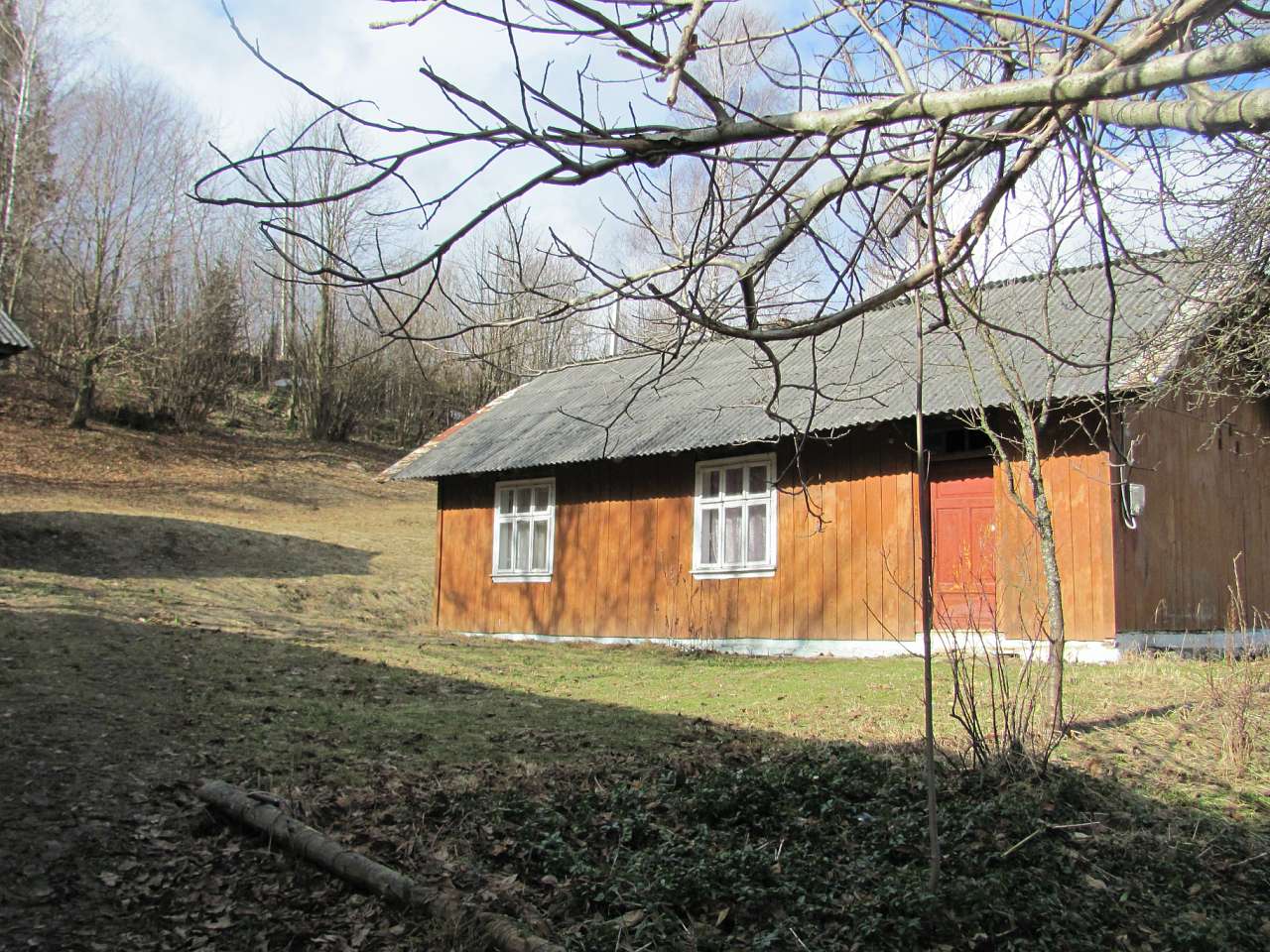 весняний Орів - Орів