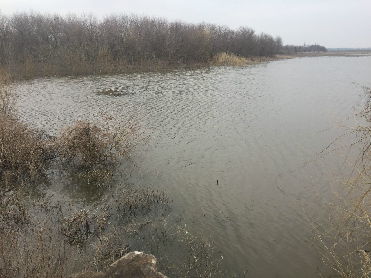 Новоочаков - Новоочаків