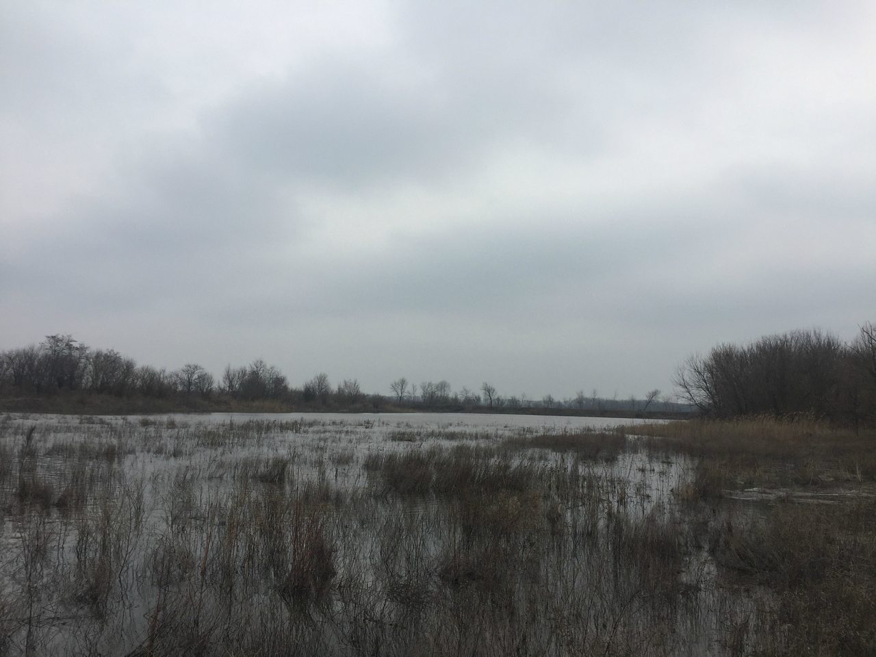 Новоочаков - Новоочаків