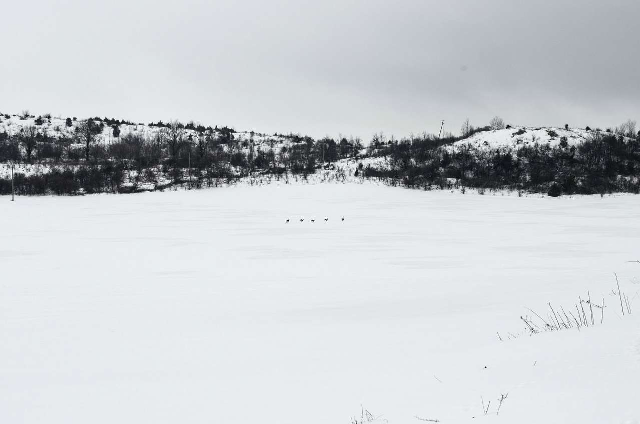 Медобори - Вікно