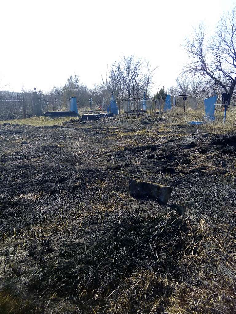 Історія - Новокурское