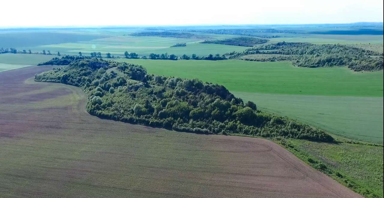 Медобори - Вікно
