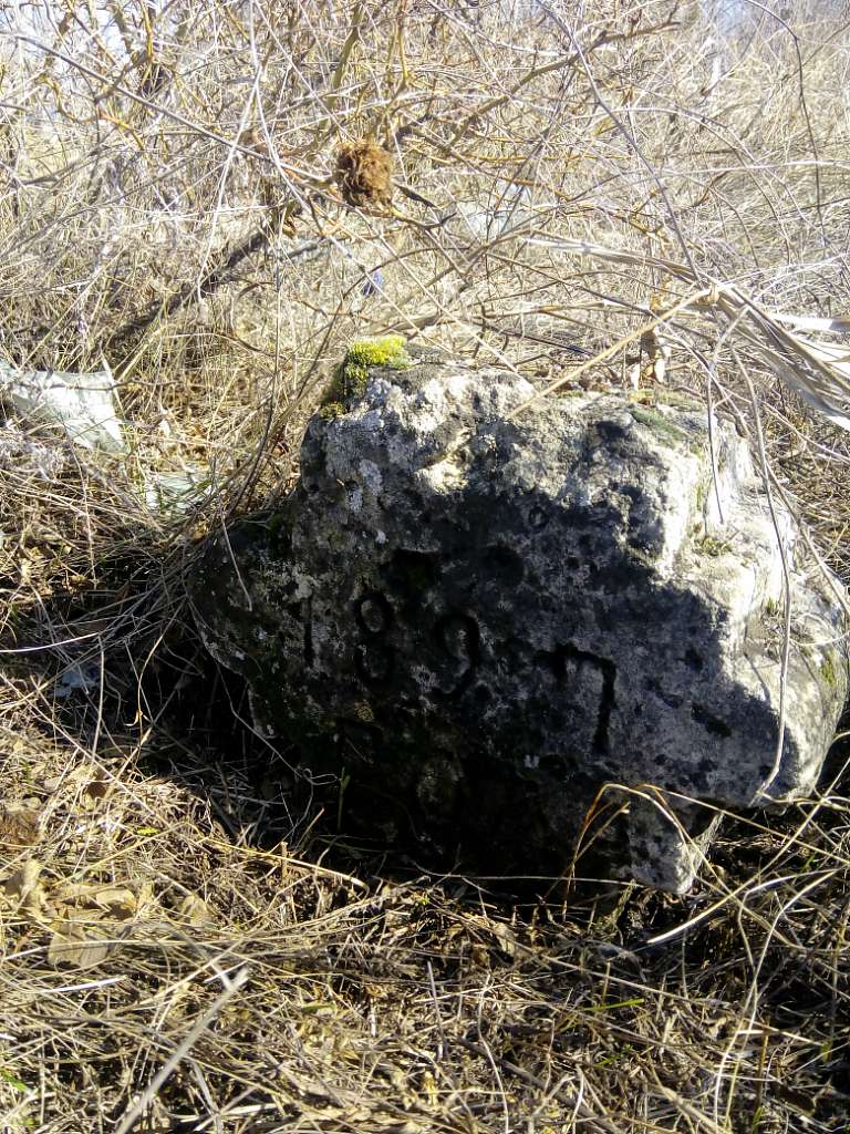 Історія - Новокурское