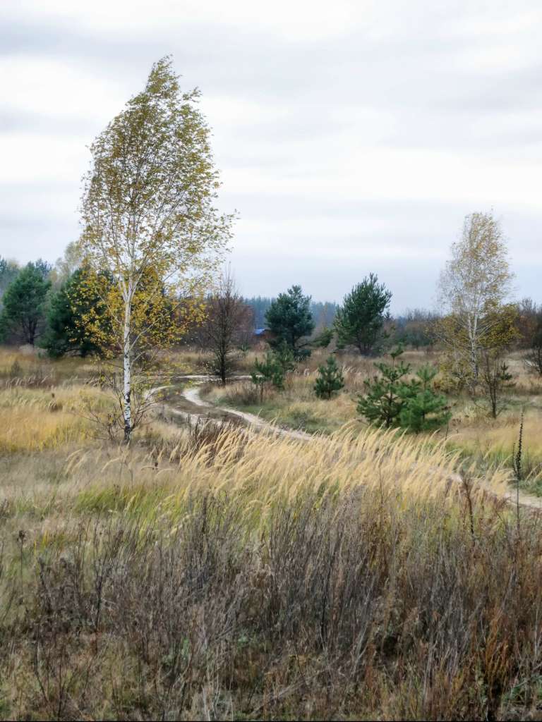 Мохначка 2 - Мохначка