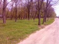 Достоїнства села