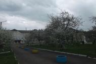 Spring in Sadzhava 2017