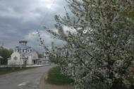 Spring in Sadzhava 2017