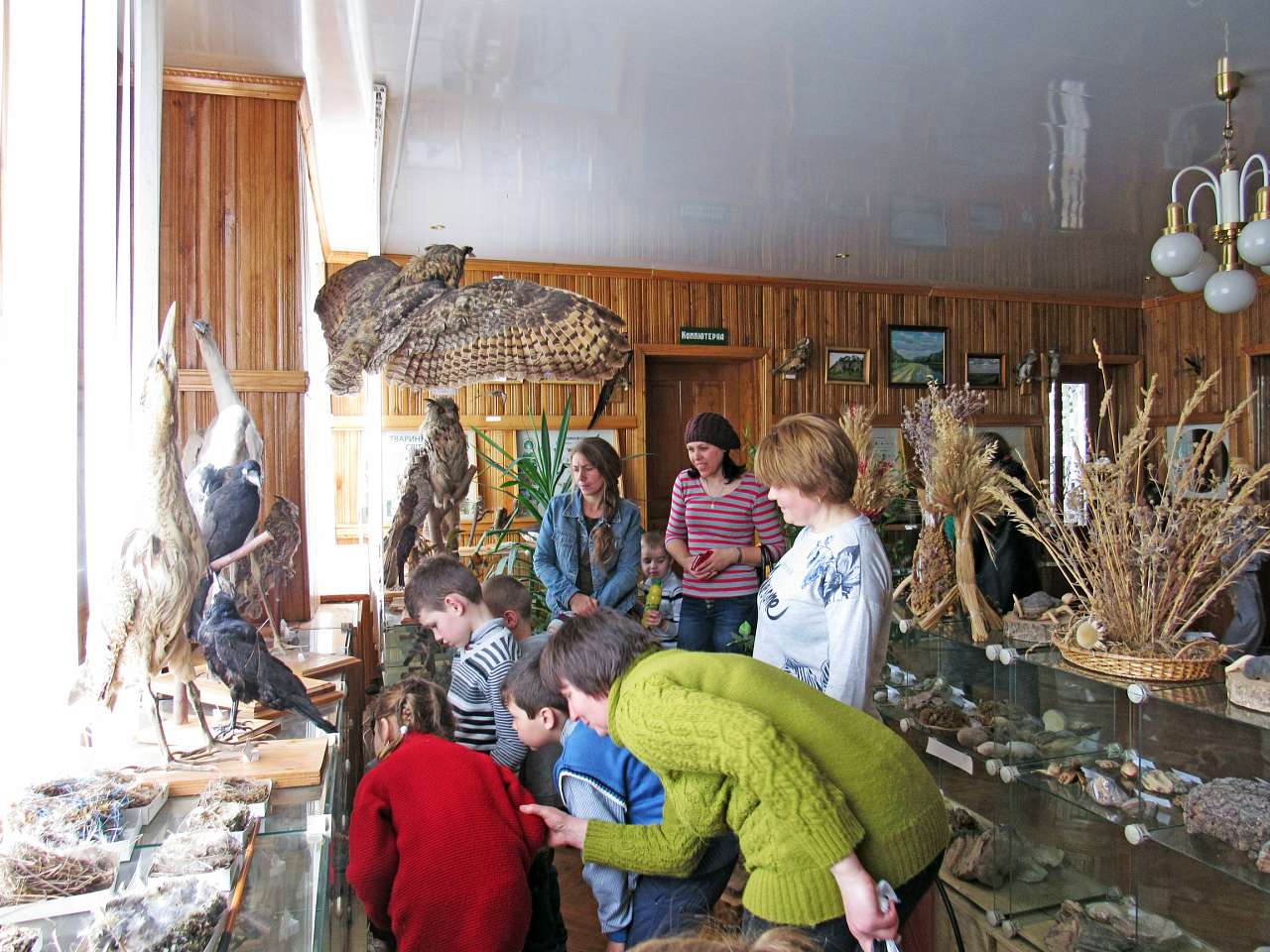 школа - Скалат