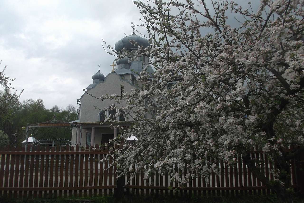 Spring in Sadzhava 2017 - Sadzhava
